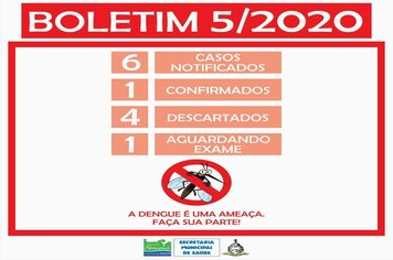 Foto - BOLETINS INFORMATIVOS DENGUE